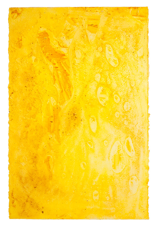 curcuma papel 12.jpg